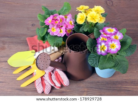 Spring gardening with tool, can, pot, and flower