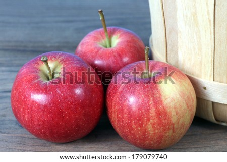 gala apple beside of bucket on table