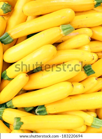 fresh yellow zucchini at outdoor market place