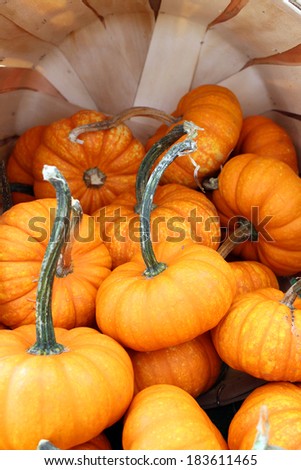 ornament mini pumpkin at the market place