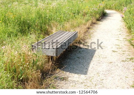 bench aside with walking path