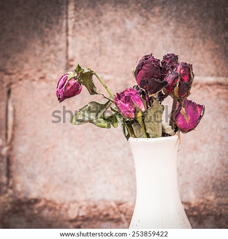 Still life with dried roses