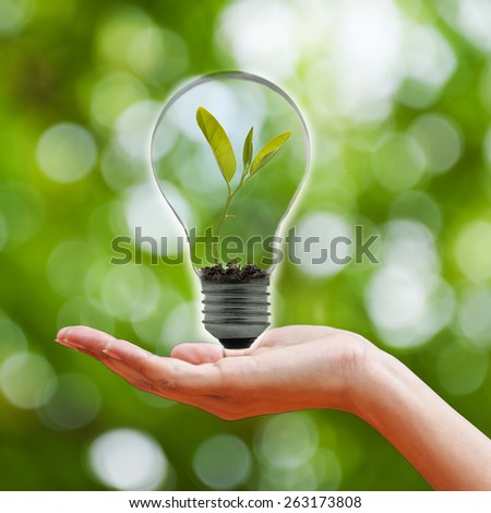 hand holding a light bulb with fresh green leaves inside, isolated on green bokeh background