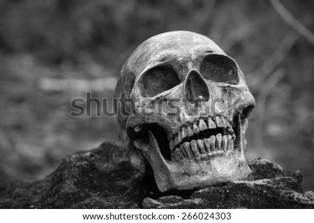 Still life, human skull on the rock, Black and white style