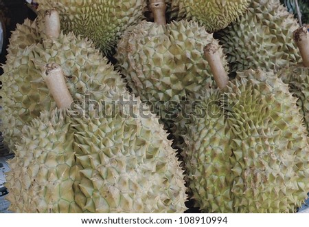 Durian the king of Thailand tropical fruit arranges on the shelf in the fruits market