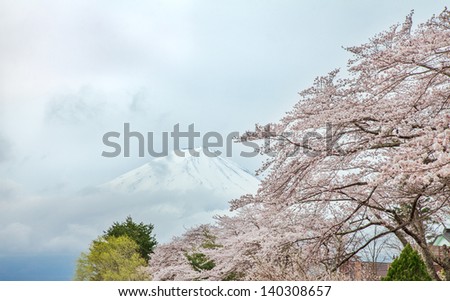 Mount Fuji and cherry blossoms in spring, Japan