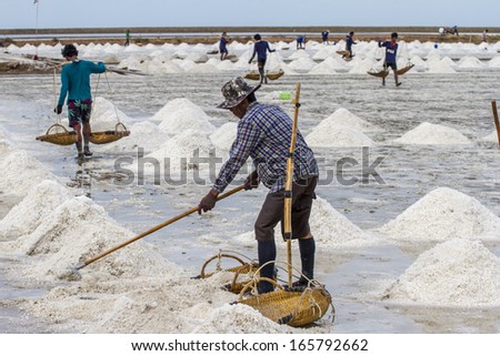 Petchaburi, Thailand - May 26: Workers collect salt in salt farm on May 26, 2013 in Petchaburi seaside farm, Thailand. It is Thailand largest farm that supported salt for the whole country.