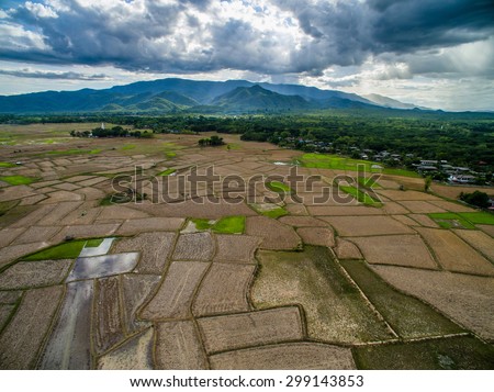 Dried rice field top view from drone northern Lampang, Thailand
