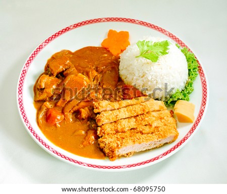 Japanese beef curry with fried pork and rice on dish