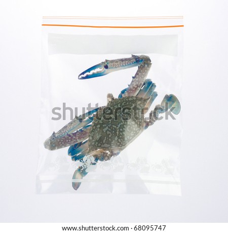 Sea crab in the zipper bag isolated on white