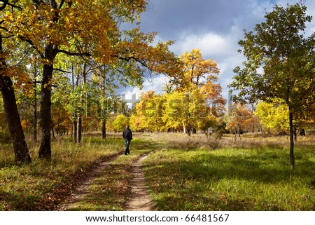 Autumn landscape with road and the going person