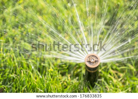 sprinkler watering new lawn