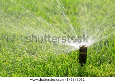 sprinkler watering fresh lawn