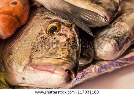 Fish piled one on top of another about to be picked as a meal