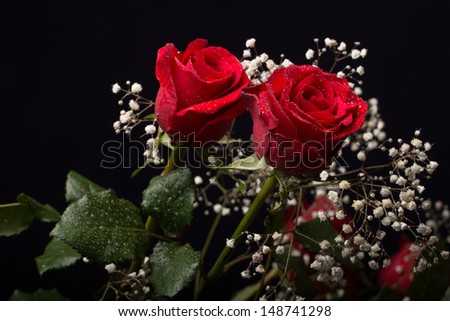 A closeup shot of a beautiful red rose with surrounded by white babys breath
