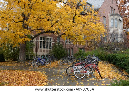 Fall College Campus. University student dorm with autumn leaves and bike racks. Horizontal format.
