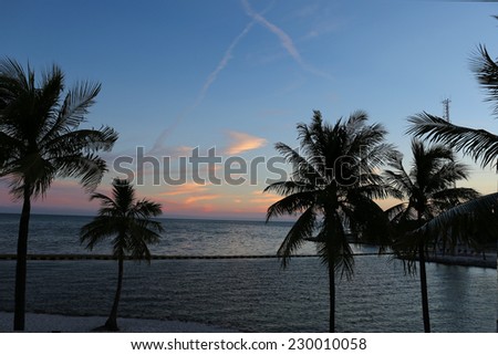 Florida, Sunrise, Palm Trees, Beach, Nature,