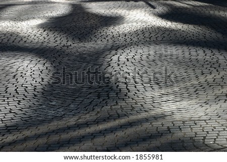 Cobblestone pavement with figured shadows.