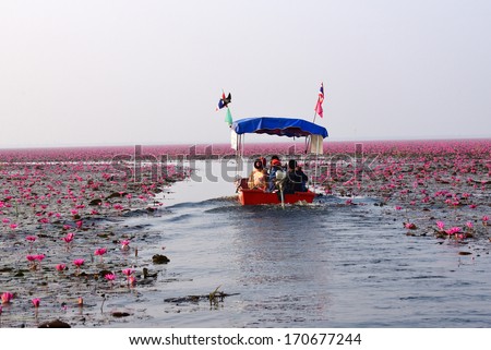 Udornthani, Thailand - Dec 9: Boat tour to visit red lotus field in the lake at Kumphawapee, Udornthani on December 9, 2013. It is called \