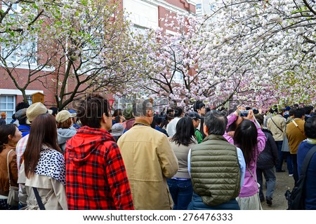 OSAKA, JAPAN - April 11: Crowd of people at Japan Mint in Osaka, Japan on April 11, 2015. It is the famous Cherry Blossom Viewing in Osaka.