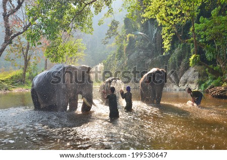 SANGKHLABURI , KANJANABURI, THAILAND-FEBRUARY 27 : An unidentified man shows how to bathe an elephant in a river show in Sangkhlaburi, Kanjanaburi, Thailand on FEBRUARY 27, 2011