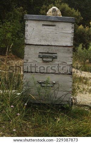 lavender honey production