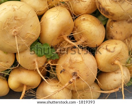 stock-photo-pile-of-turnips-close-up-1819393.jpg