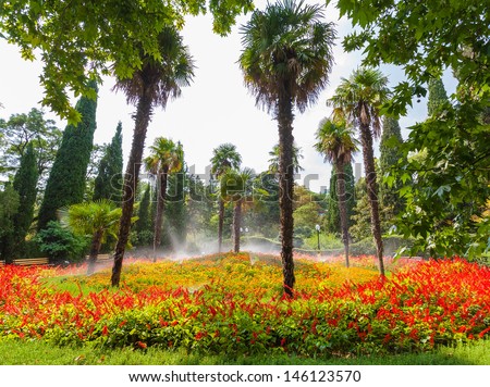 garden landscape with fountain, colorful flowers and blue sky