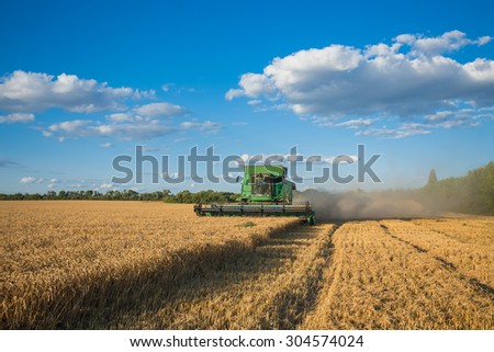 Harvesting combine in the field cropping cereal field