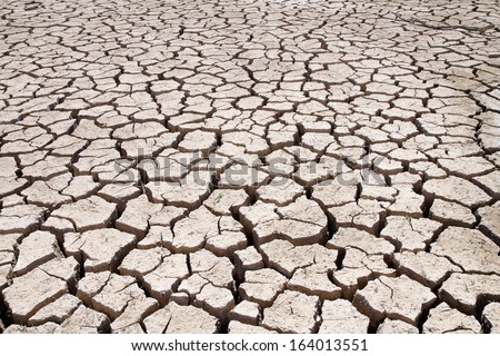 cracked earth on a dry lake bed