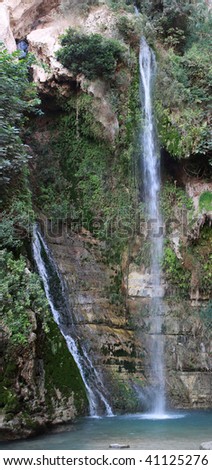 Falls in the mountains covered with vegetation