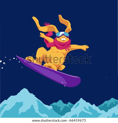 Rabbit on snowboard