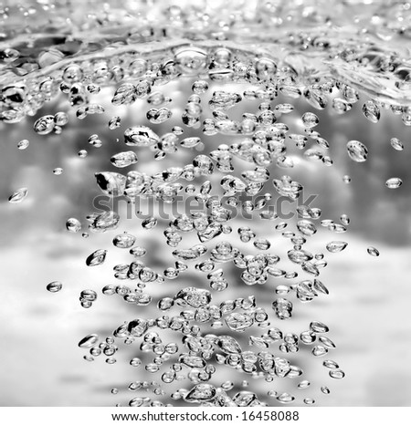 High Magnification of air bubbles reaching the water\'s surface. Not all bubbles fall on the focal plane.