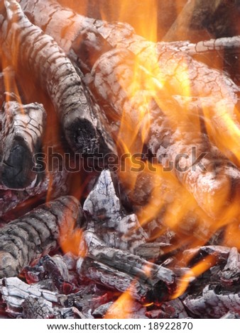 Flaming wooden coal logs of camping fireplace 07