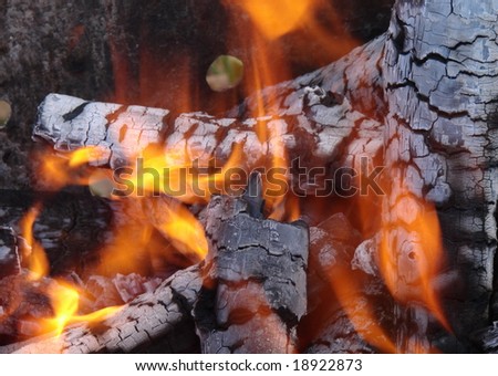 Flaming wooden coal logs of camping fireplace 13