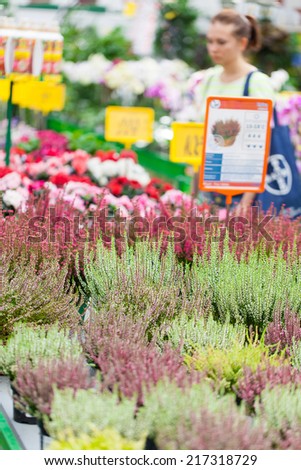 Beautiful arrangement of plants in a flower shop. Flowers for sale at a flower market. Indoor.