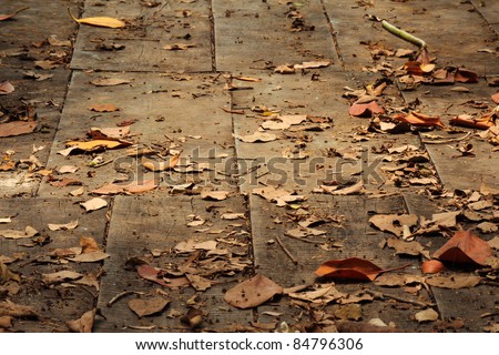 Old wooden path bridge with dry leaves