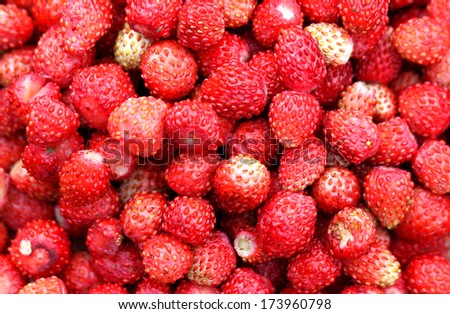 texture of red delicious fresh strawberries
