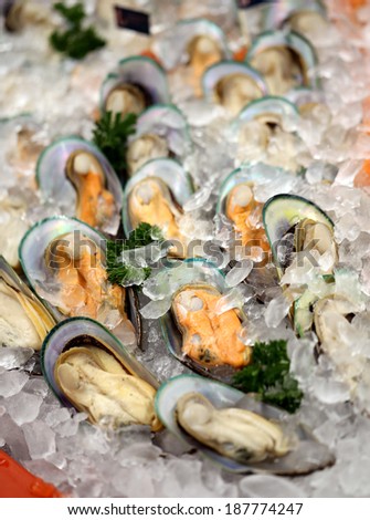 Mussels in shells lay on the ice in the window