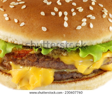 double cheeseburger is photographed close-up on white background