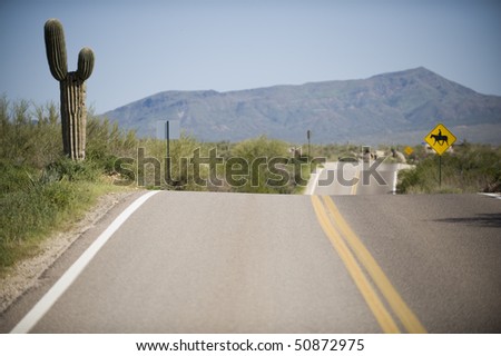 Road with double yellow line and three humps goes off into the distance past a