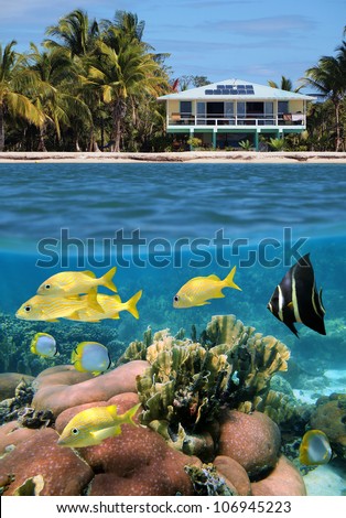 Split view of a beach house and its underwater coral garden with tropical fish