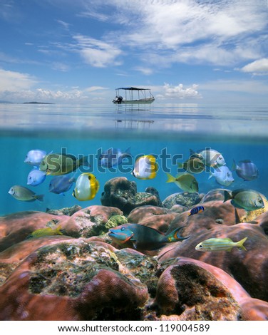 Over-under split view, boat above a coral reef with shoal of tropical fish below the water surface, Caribbean sea