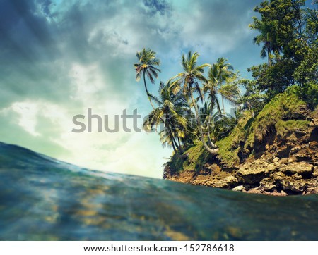 Coconut trees with sunlight over the sea, Caribbean, Bocas del Toro, Panama