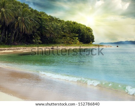 Tropical beach with coconuts trees in, Zapatillas islands, Bocas del Toro, caribbean sea, Panama
