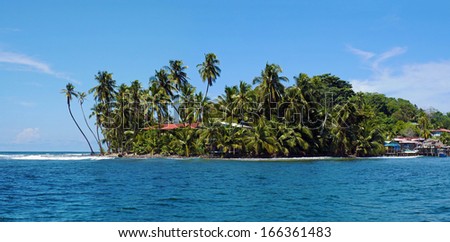 Tropical island panorama with leaning coconut tree, and houses hidden by lush vegetation, Bocas del Toro, Panama