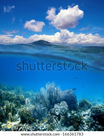 Underwater coral reef with water surface and cloudy blue sky horizon split by waterline