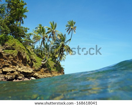 View from water surface with islet and coconut palm trees, Caribbean sea, Bocas del Toro, Panama