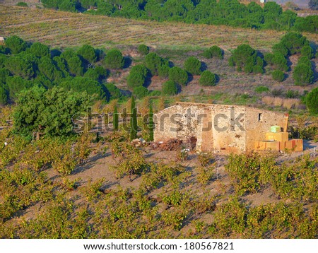 Hut in the vineyards of Banyuls sur Mer, Mediterranean country, Pyrenees Orientales, Languedoc Roussillon, France