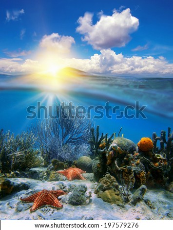 Cloudy blue sky with sunset at horizon and split by waterline, underwater corals with sea stars